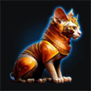Joker Ra Symbol Cat